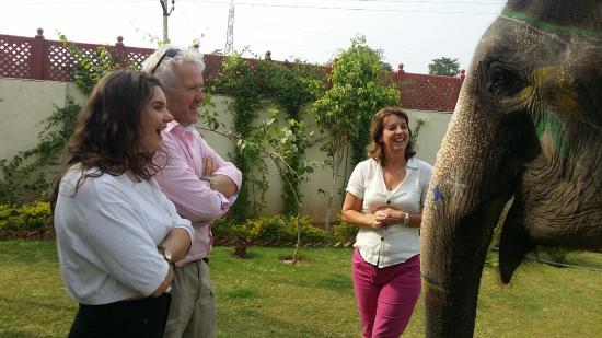 Elephantwala